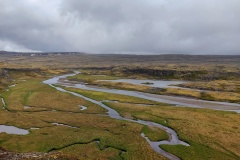 IMG_20250623_141853