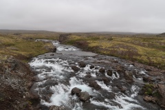 IMG_7448