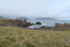 IMG_7594