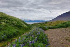 IMG_20250703_105701