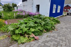 IMG_20250703_133319