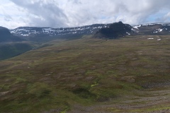 IMG_8153
