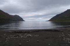 IMG_8534