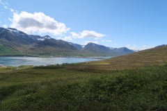 IMG_8565
