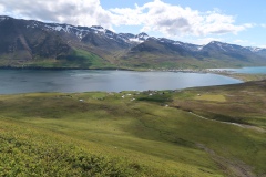 IMG_8568