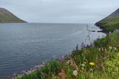 IMG_20250710_112134