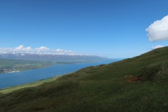 IMG_8665