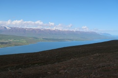 IMG_8675