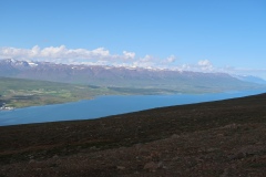 IMG_8677