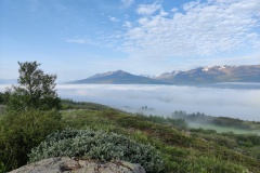 IMG_20250716_071104