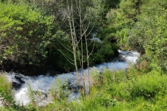 IMG_20250716_133332