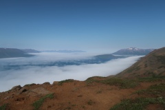 IMG_8907