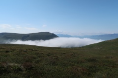 IMG_8909