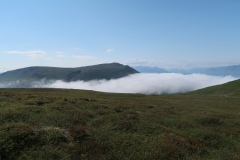 IMG_8912
