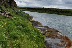 IMG_20260625_155405
