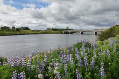 IMG_20260626_182821