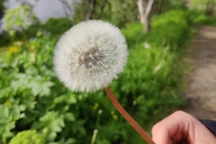 IMG_20260626_182941