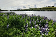 IMG_20260626_183044