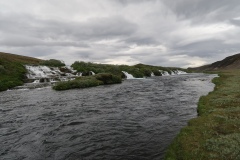 IMG_9704