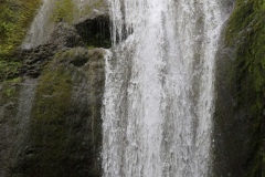 IMG_0008