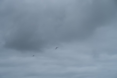 IMG_0093