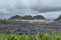 IMG_20260702_144409