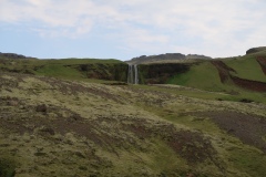 IMG_0579