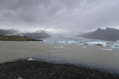 IMG_1000